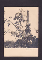 CPSM Monier Albert Signature En Relief Photographe Photo Circulé édition 23 Tour Eiffel - Monier