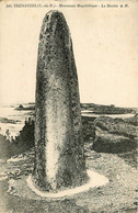 Trégastel * Monument Mégalithique * Le Menhir * Mégalithe Monolithe - Trégastel