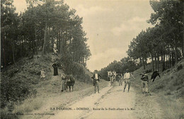 Ile D'oléron * Domino * La Route De La Forêt Allant à La Mer * Attelage - Ile D'Oléron