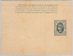 65809 -  BRITISH BECHUANALAND - Postal History - POSTAL STATIONERY WRAPPER  # 2 - 1885-1895 Colonie Britannique