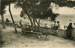 Fouras * Vue Sur Les Sapinettes * La Plage - Fouras-les-Bains