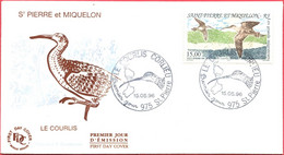 Env. FDC - Saint Pierre Et Miquelon (15-5-96) - Le Courlis - FDC