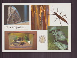 MICROPOLIS LA CITE DES INSECTES - Insectos