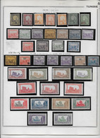 Tunisie - Collection Vendue Page Par Page - Neuf **/** Sans/avec Charnière - TB - Unused Stamps