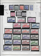 Tunisie - Collection Vendue Page Par Page - Neuf ** Sans Charnière - TB - Unused Stamps