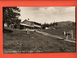 ZPB-28  Chalet Et Sommet De La Dent De Vaulion, Val De Joux. Troupeau, Berger.  Cachet 1933.  Deriaz - Vaulion