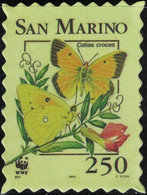 Saint Marin Timbre Fictif Autocollant Papillon Colias Crocea Souci Scrapbooking - Scrapbooking