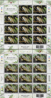 MALTA  -EUROPA 2021 -ENDANGERED NATIONAL WILDLIFE"-  TWO SHEETS Of 11 + LABEL - 2021