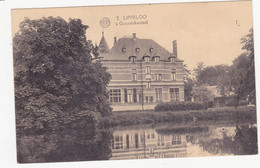 48409  -   Lippeloo  's  Gravenkasteel - 1 - Sint-Amands