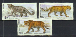 Russia 2014 Native Big Cats, Snow Leopard, Amur Leopard, Siberian Tiger  Mi 2105-2107 MNH(**) - Unused Stamps