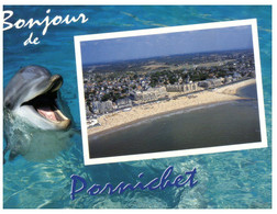 (TT 19) Dauphin - Dolphin - Bonjour De Pornichet - Dauphins