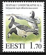 Estonia - MNH ** 1995 :   Barnacle Goose  -  Branta Leucopsis - Oies