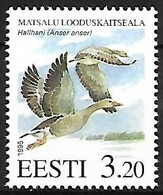 Estonia - MNH ** 1995 :     Greylag Goose  -  Anser Anser - Oies