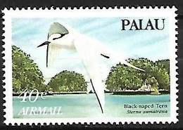 Palau - MNH ** 1984 :   Black-naped Tern  -  Sterna Sumatrana - Meeuwen