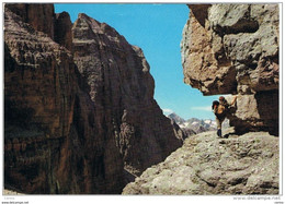 DOLOMITI  DEL  BRENTA (TN):  SENTIERO  S.O.S.A.T.  -  PER  LA  SVIZZERA  -  FG - Climbing