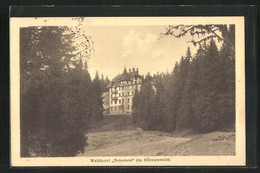 AK Todtnau /Schwarzwald, Waldhotel Notschrei - Todtnau