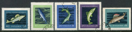 POLAND 1958 Fish Used  Michel 1051-55 - Oblitérés