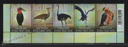 Afrique Du Sud - South Africa 2008 Yvert Airmail 144-48, Fauna, Five Great Birds  - MNH - Luchtpost