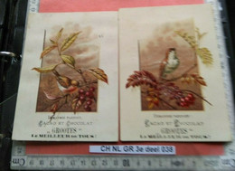 2 Trade Cards 1895 Pub GROOTES Cocoa Chocolate Birds Robin Printer TRESLINGchokolade Nederland, Zeer Mooie Staat - Altri & Non Classificati