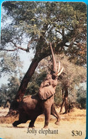 ZIMBABWE  -  Phonecard - Elephant - $ 30 - Simbabwe