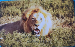 ZIMBABWE  -  Phonecard - Lion - $ 50 - Simbabwe