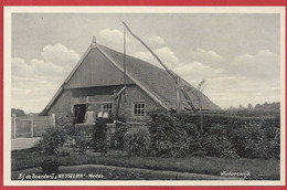 NL.- Winterswijk, Boerderij - WESSELINK -. MEDDO. Waterput. Boerin. Uitg. Boekhandel G.J. Albrecht, Foto J.H. Te Hofstee - Winterswijk