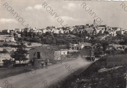 CARTOLINA  PALATA,CAMPOBASSO,MOLISE,PANORAMA,BELLA ITALIA,STORIA,MEMORIA,CULTURA,RELIGIONE,IMPERO.VIAGGIATA 1955 - Campobasso