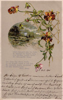 Mondschein-Postkarte Mit Einem Gedicht Von Martin Blum: "Schon Dämmert's über Der Heide ..." Bahnpost, 1901. - 1900-1949