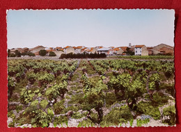 CPSM Grand Format -   Sigean  -( Aude )  Vue Générale , Les Grazelles - Sigean