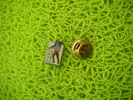 2052  PINS  Pin's     FNMTASIC  FN MT ASIC  Patinage Artistique  Couple - Patinaje Artístico