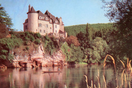 LACAVE CHATEAU DE LA TREYNE CARTE BISCOTTE PELLETIER - Lacave