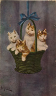 Cats - Katze // Cats In Basket By A. Stone 19?? - Chats