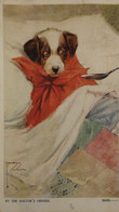 Dog - Dogs - Chien // By The Doctors Orders By Lawson Wood 1915 Tucks Card - Hunde
