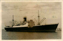 SIDI MABROUK * Carte Photo * Bateau Cargo Paquebot Commerce Marine Marchande ? Compagnie SGTM - Commercio