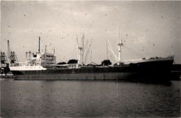 HUBERT PROM * Carte Photo * Bateau Cargo Paquebot Commerce Marine Marchande ? Compagnie Maurel Et Prom - Comercio