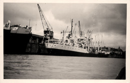 HUBERT PROM * Carte Photo * Bateau Cargo Paquebot Commerce Marine Marchande ? Compagnie Maurel Et Prom - Commercio