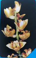 SIERRA-LEONE - Phonecerd - Flower - Orchidae - 10 Units - Sierra Leone