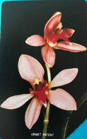 SIERRA-LEONE - Phonecerd - Flower - Orchidae - 50 Units - Sierra Leone