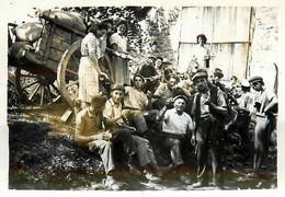 Le Pouget * Retour De Scène Agricole , Agriculture , Vendanges ? * 2 Photos Anciennes 1945 - Sonstige & Ohne Zuordnung