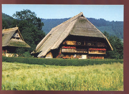 CPM Neuve Allemagne GUTACH Schwarzwälder " Vogtsbauernhof " - Gutach (Schwarzwaldbahn)