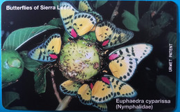 SIERRA-LEONE - Phonecerd - Euphaedra Cyparissa  -  100 Units - Sierra Leona