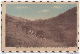 5AH1495 LES ROSAIRES PLERIN LA VALLEE DES BEGUELIERS VACHES 2 SCANS - Plérin / Saint-Laurent-de-la-Mer