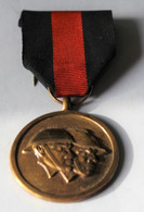 Médaille Belgique Reconnaissance De La FNC-NSB Fédération Nationale Combattants 2 Soldats D'Afrique Colonie - Belgien