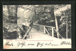 AK Rochlitz, Mordgrundbrücke Des Promenadenweges Am Rochlitzer Berg - Rochlitz