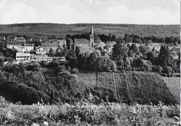 AWENNE ..--   Panorama . - Saint-Hubert