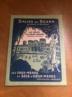 Salies De Béarn * La Reine Des Eaux Salées * Document Ancien Illustré Brochure Touristique * Illustrateur Art Nouveau - Salies De Bearn