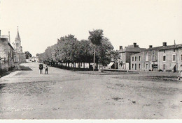 THENEZAY. - Les Promenades, Vers La Mairie Et L'Eglise. CPSM 9x14 - Thenezay