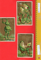 6 Trade Cards C1889 Comic Creatures Anthropomorphic Dressed Animals ART Frog - Grenouilles Kikkers Padden Frogs MERTENS - Van Houten