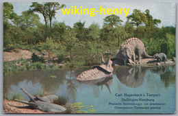 Hamburg Stellingen - Carl Hagenbeck's Tierpark 14   Urwelttiere Ochsensaurier Triceratops Prorsus Dinosaurier - Stellingen