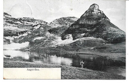 1860u: AK Für Heimatsammler, Augst- See, Gest. 1905 Alt- Aussee, Gelaufen Nach Vöslau - Ausserland